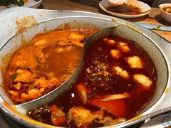 -青瓷火锅料理(西单大悦城店)