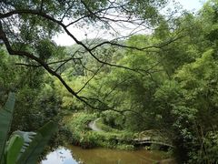 -大屏嶂森林公园