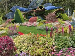 -上海共青森林公园