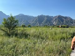 -敕勒川草原文化旅游区