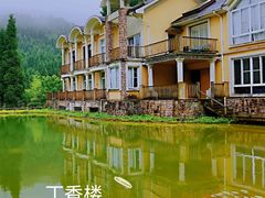 -武陵山森林公园