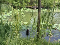 -昆山城市生态森林公园