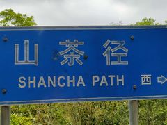 -梧桐山风景名胜区