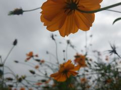 -白鹭湾湿地公园