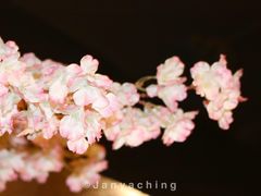 -炙忧烤肉屋(中国铁建广场店)