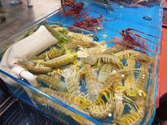 -吴记富苑(朝阳店)