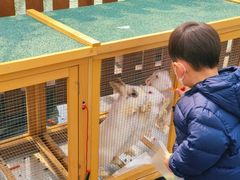 -J Create城市露营咖啡·简餐·宠物(上海动物园店)