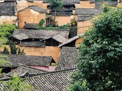 -杨家堂村