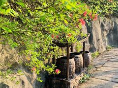 -木兰云雾山