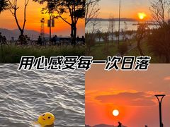 -华侨公园