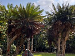 -中国科学院西双版纳热带植物园