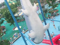 -苏州乐园森林水世界