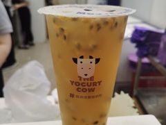 -一只酸奶牛(春熙路店)