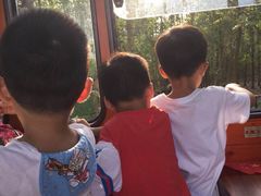 -合肥滨湖国家森林公园