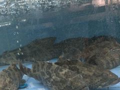 -春园海鲜广场D区6号(钟姐海鲜加工店)