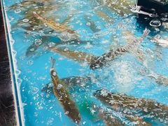 -盒马鲜生(大行宫店)