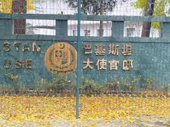 -三里屯东五街银杏大道