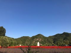 -仙居谷风景区