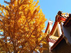 -南岳衡山风景名胜区-南岳大庙