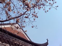 -长春观