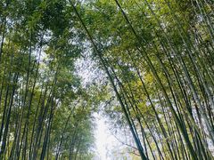 -上海市龙华烈士陵园