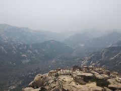 -崂山巨峰游览区