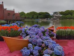 -上海鲜花港