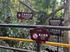-呀诺达热带雨林