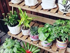 iphone_upload_pic-新沙洞咖啡(泉乐坊店)