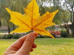 -唐城墙遗址公园