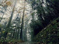 -山王坪喀斯特国家生态公园