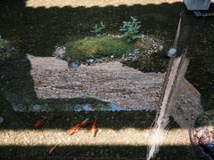 -几荷·恰似故人来(秀水广场店)