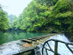 -石台牯牛降景区