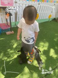 -萌宠亲子动物乐园(槐房万达店)