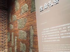 -中国闽台缘博物馆
