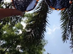 -昆明柏联SPA温泉