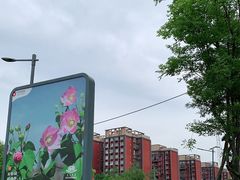 -天府芙蓉园