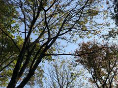-杭州西湖风景名胜区-章太炎纪念馆