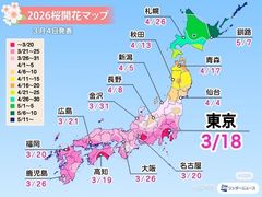 -帝京日语(春熙路旗舰校区)