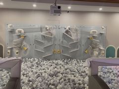 -碧中海汤泉汗蒸酒店