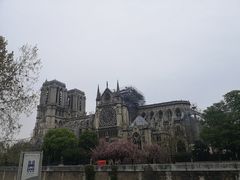 -巴黎圣母院