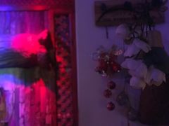 -花木兰·咖啡·茶铺