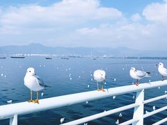 -海埂大坝