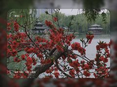 -陶然亭公园