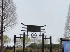 -合肥滨湖国家森林公园
