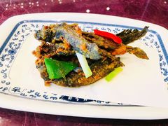 炸跳跳鱼-宁波状元楼酒店(和义路店)