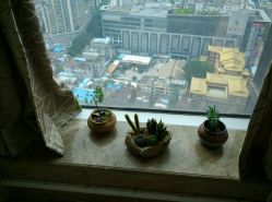 -ＤＯＭＯプロの美容サロン