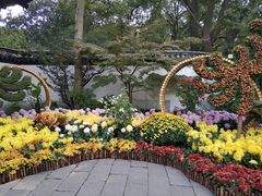 -汇龙潭