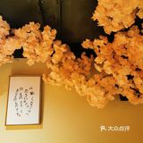 换装馆？不，是日料