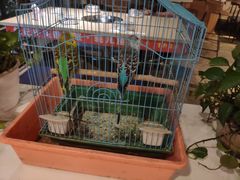 -休记光头香辣蟹干锅店(衣冠庙店)